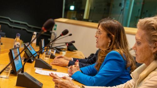Soraya Rodríguez Ramos presenta junto a la ONG Race & Equality la proyección del documental “Cuba: dos patrias” organizada por Renew Europe en el Parlamento Europeo. 