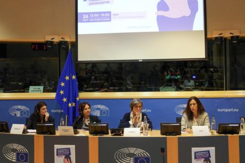 La Directiva de la UE sobre la lucha contra la violencia contra las mujeres y la violencia doméstica